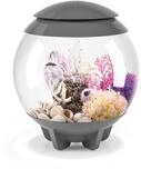 biOrb HALO 15 MCR grau (72037)