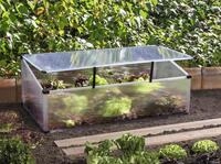 Vitavia Fr&uuml;hbeet Feronia mit Aufstelldach alu-natur