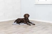 TRIXIE K&uuml;hlmatte Soft grau XL/2: 90x60cm