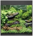 Oase StyleLine Modell 85 Aquarium schwarz