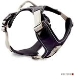 Wolters Active Pro Geschirr 30 mm champagner 80 - 95 cm