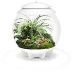 Biorb Air 30 weiss