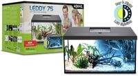 Aquael Aquarienset LEDDY Day&Night 75 schwarz 2.0 Aquarium Set