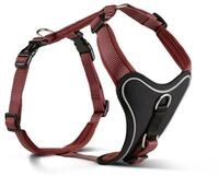 Wolters Professional Comfort rost rot Hundegeschirr 35 - 40 x 2,5 Centimeter