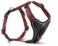 Wolters Professional Comfort rost rot Hundegeschirr 27 - 32 x 1,5 Centimeter