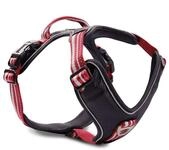 Wolters Active Pro rot Geschirr 40 - 47,5 Centimeter