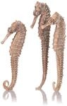 biOrb Seepferdchen 3er-Set natur (55063)