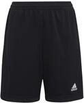 Entrada 22 Training Shorts