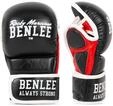 BENLEE MMA-Trainingshandschuhe aus Leder STRIKER