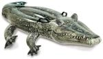 Aufblasbarer Alligator