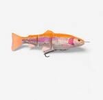 Jerkbait 4D Line Thru Trout 15 cm golden Albino zum Spinnfischen