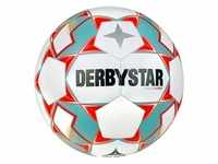 Fussball Trainingsball Grösse 5 - Derbystar Stratos S-Light v23, EINHEITSFARBE, 5
