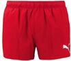 PUMA Herren Badehose kurze Badeshorts M&auml;nner schnelltrocknend Gr&ouml;&szlig;en XS - XXL