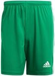 Squadra 21 Shorts