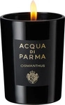 Acqua Di Parma Signatures Osmanthus Kerze 200 g