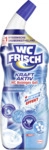 WC FRISCH Kraft Aktiv WC Reiniger Gel Ozeanfrische 4015000973892