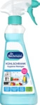 Dr. Beckmann K&uuml;hlschrank Hygiene-Reiniger Spray 4008455603117