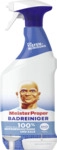 Meister Proper Badreiniger Spray 8700216710671