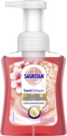 Sagrotan Samt Schaum Sanfte Schaumseife Kirschbl&uuml;te & Rose 4002448101659