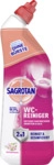 Sagrotan WC-Reiniger Bl&uuml;tenfrische 4251758404145