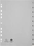 Register Exacompta 1710E, Format A4, Universallochung, Taben 1-10, B 225 x H 297 mm,