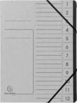 Exacompta Dokumentenmappe, DIN A4, Gummizugverschluss, Karton, 12 F&auml;cher, grau