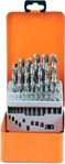 25-teiliges Spiralbohrer-Set