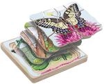 Beleduc Lagen-Puzzle Schmetterling