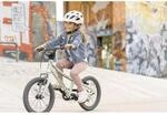 Puky Kinderfahrrad LS-PRO 16
