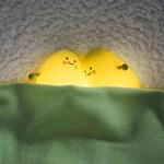 Fh Lighting Nachtlicht Lia