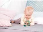 Hape Greifling Apfel Alex