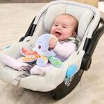 Vtech Vtech Baby Babys Pl&uuml;sch-Oktopus