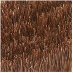 Gr&uuml;nspecht Bio-Naturhaarb&uuml;rste Rosshaar