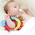 Sigikid Greifling B&auml;r Aktiv-Ring PlayQ