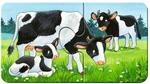 Ravensburger my first puzzles - Tierfamilien auf dem Bauernhof