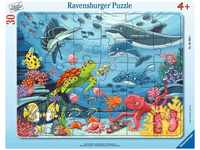 Ravensburger 05566, Ravensburger Rahmenpuzzle - Unten im Meer 30 Teile