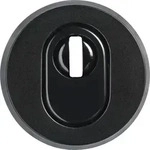 ABUS Schutzrosette RHZS415 B7 CL/DFNLI
