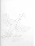 STAEDTLER Blumen Aquarell Set