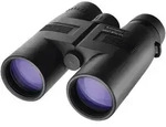 Eschenbach Fernglas Arena D+ 8x42 B 8 x 42mm Dachkant Schwarz (gummiert) 4254842