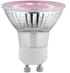 Paulmann LED-Pflanzenlampe Wachstum 230V GU10 3.5W Bernstein 1St.