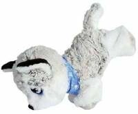 ChiChi Love Happy Husky