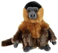 Heunec BEDROHTE TIERE Kapuzineraffe