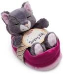 NICI - Sleeping Pets - Green - Kuscheltier Katze grau 12cm schlafend im K&ouml;rbchen