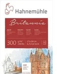 Hahnem&uuml;hle Papier Britannia, 17 x 24 cm, 300 g/m2