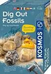 MBE Dig Out Fossils INT