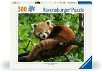 Erwachsenenpuzzle 500 Teile - S&uuml;&szlig;er roter Panda
