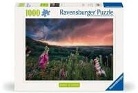 Erwachsenenpuzzle 1000 Teile - Ein Sturm zieht auf