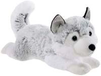 Winter Husky