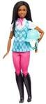 Barbie Mysteries: Das geheimnisvolle Pferdeabenteuer&ldquo; Barbie Brooklyn&ldquo; Puppe mit