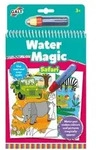 Water Magic Safari